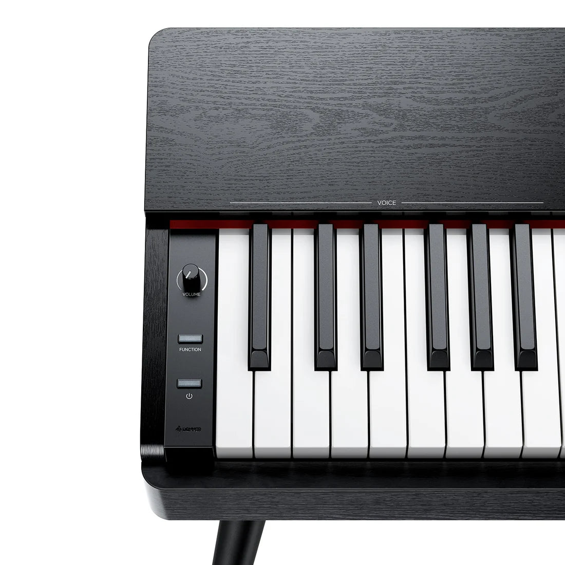 Donner OURA S100